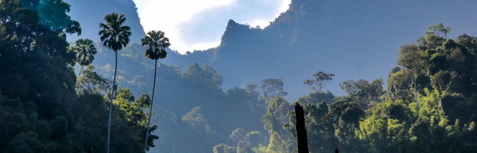 Khao Sok Khao Sok