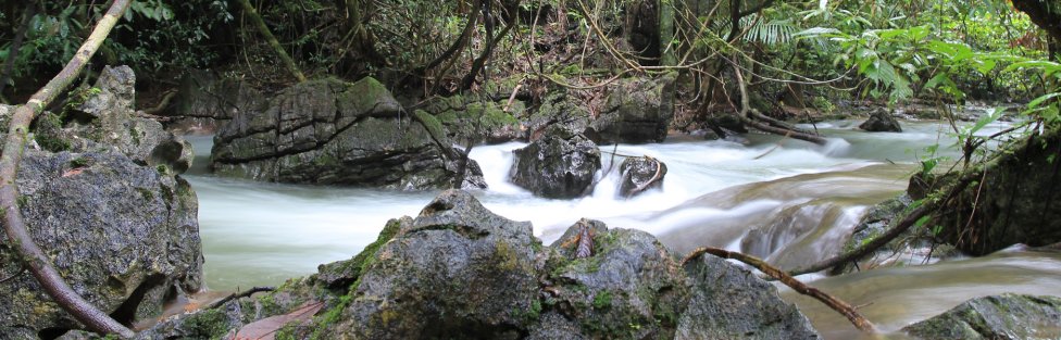 Khao Sok Khao Sok