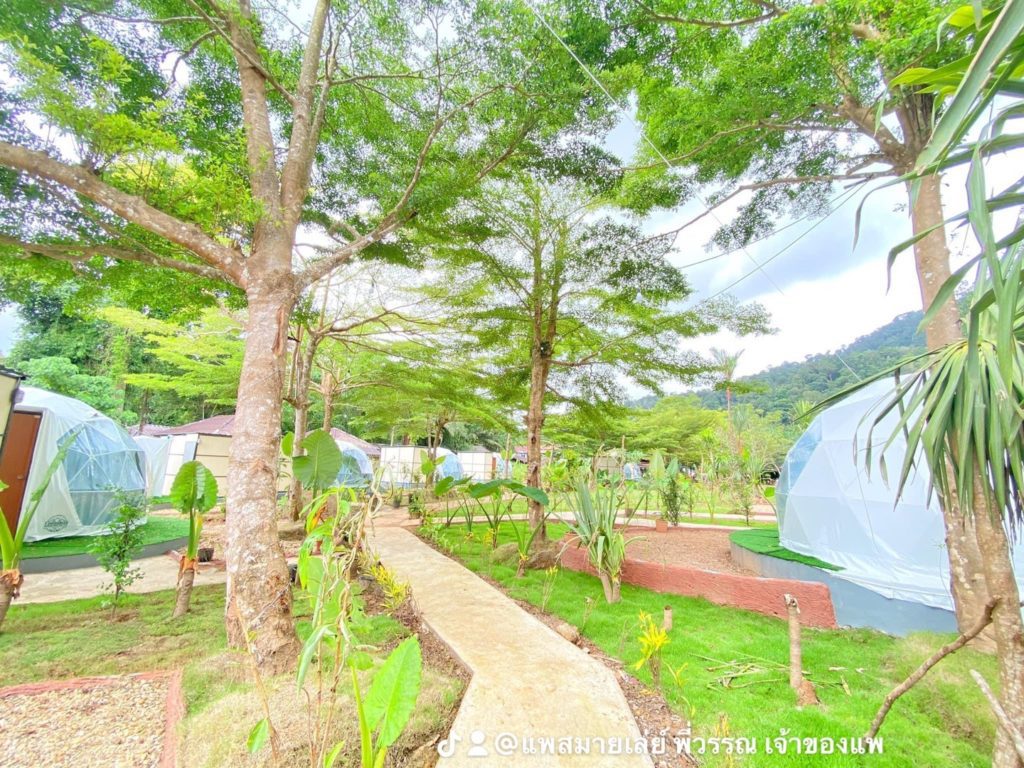 Khao Sok Smiley Dome Camp - Khao Sok Smiley Bungalows and Lakehouse